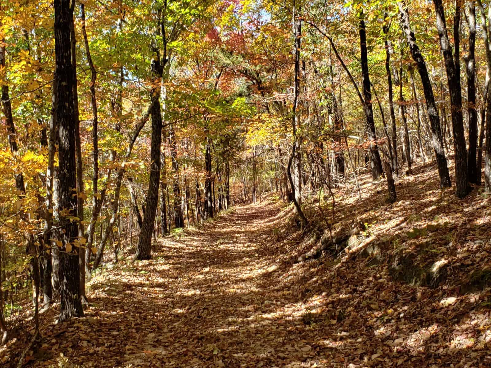 Camp McClellan Horse Trails Campground